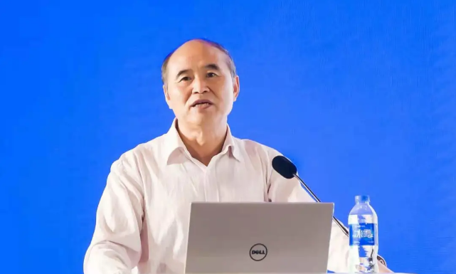 吳吟在大會作清潔取暖主題報告