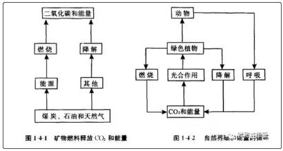 鑫華新:生物質專用爐具助力“碳中和”2