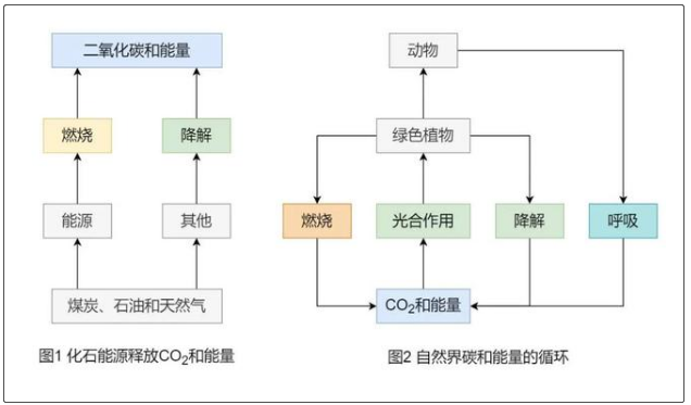 為什么說生物質能是“零碳”能源