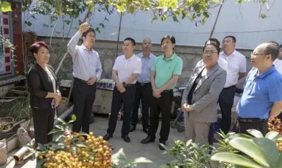 齊昊科技：心系農村清潔取暖 共建共享美麗鄉村美好生活