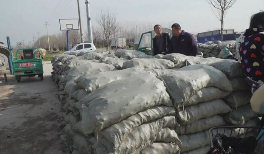 村民們正排隊領取今年冬季取暖的生物質燃料