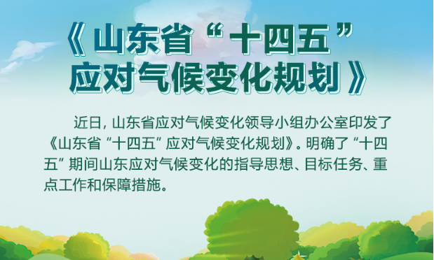 大力發(fā)展清潔低碳能源，實(shí)施可再生能源倍增行動(dòng)