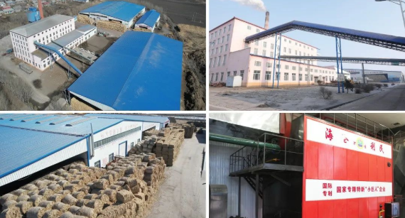 海倫利民鍋爐入選國家級專精特新“小巨人”企業3