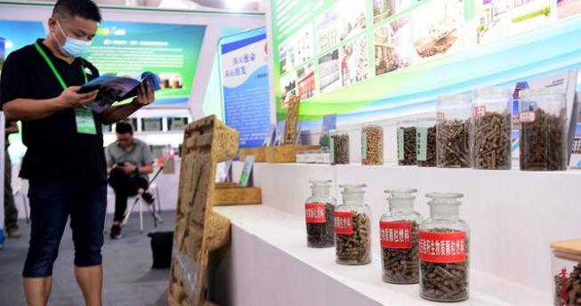 博覽會(huì)上了解用秸稈制作的生物質(zhì)燃料