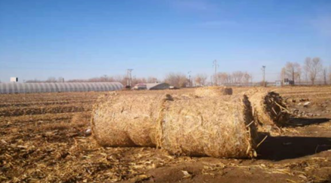 《黑龍江日報》報道利民鍋爐:供熱成本降半 ,秸稈過爐增值3