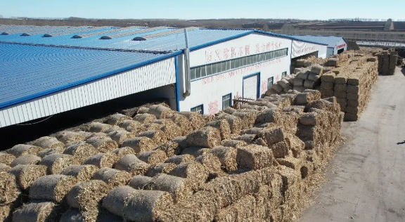 記者實地探訪!燒秸稈的鍋爐是怎樣給鄉鎮居民供暖的?