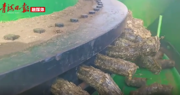 海東樂都：生物質燃料燃起鄉村振興新希望2