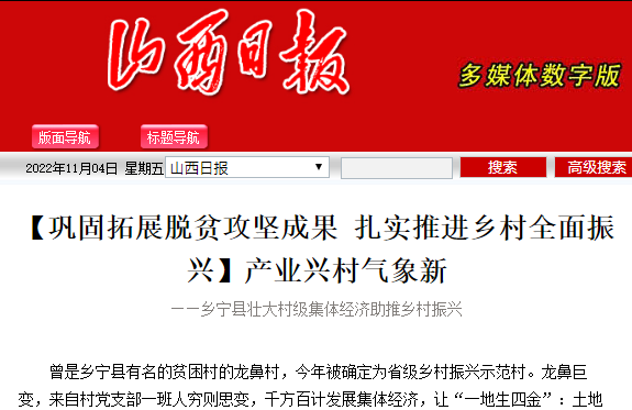 通過專用設備壓制成塊狀固體顆粒生物質燃料
