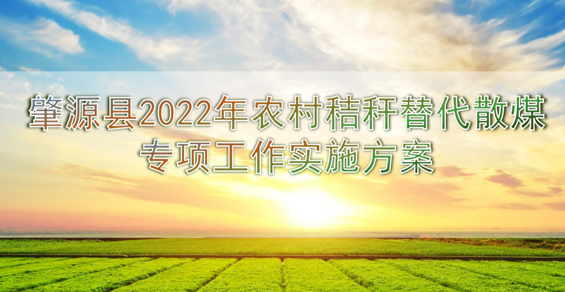 改造或新建生物質鍋爐替代燃煤鍋爐