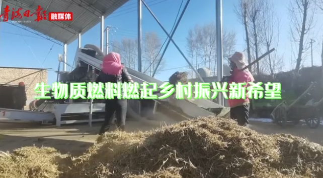 海東樂都：生物質燃料燃起鄉村振興新希望