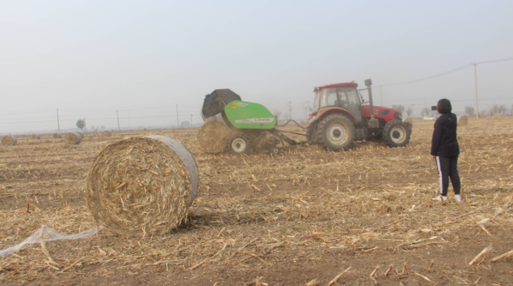 這幾年生物質燃料很搶手，已經成為替代燃煤的好產品