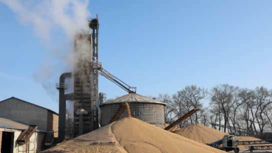 燒煤成本高，環保不讓燒？300噸糧食烘干塔用上秸稈直燃熱風爐，一天省1萬