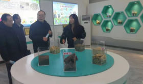 赴陽信開展生物質能利用調研工作2