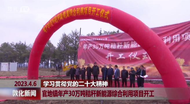 年產30萬噸秸稈新能源綜合利用新型清潔生物質燃料項目