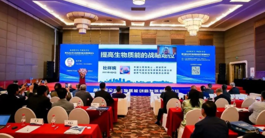 杜祥琬院士:提高生物質能戰略地位勢在必行