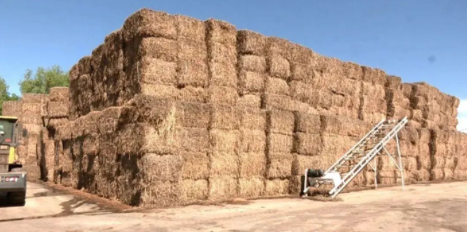 通過秸稈燃料化利用,將秸稈“變廢為寶”。