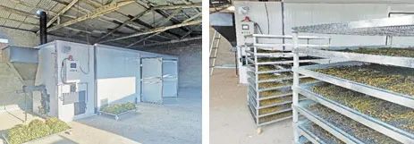 案例四 河南西峽農產品加工領域生物質烘烤案例