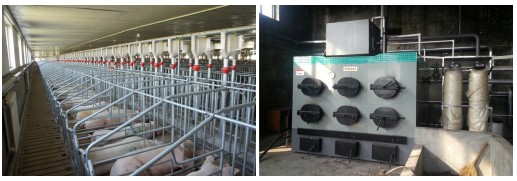 養殖供暖風向:中小戶燃煤市場還好,大戶生物質和熱泵市場向好